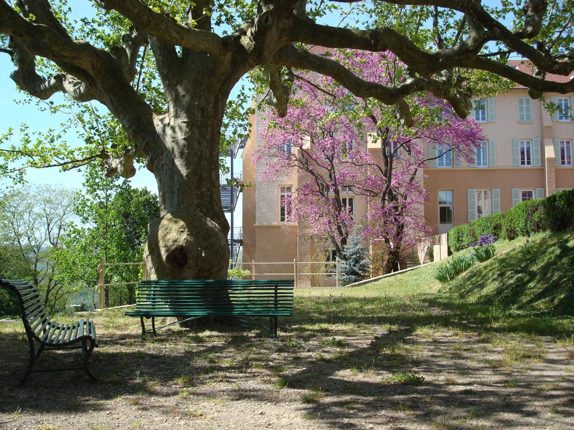 מלון Sainte-Foy-lès-Lyon Domaine Lyon Saint Joseph מראה חיצוני תמונה